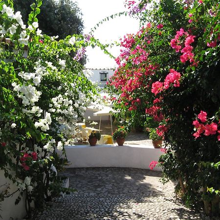 Hotel Punta Rossa San Felice Circeo Eksteriør billede
