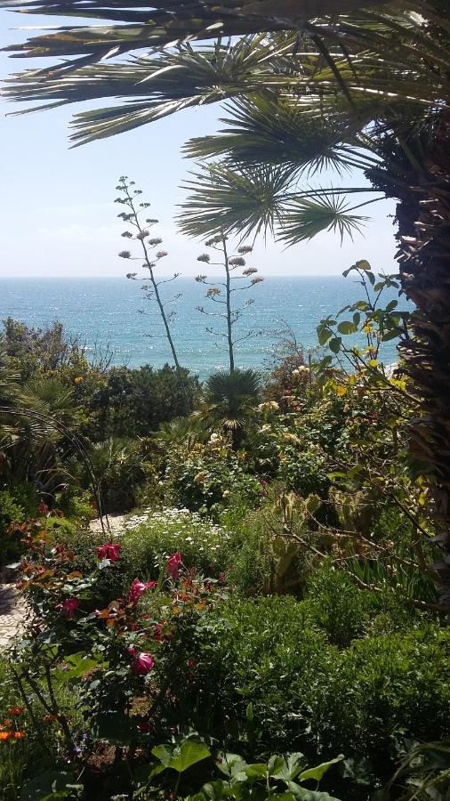 Hotel Punta Rossa San Felice Circeo Eksteriør billede