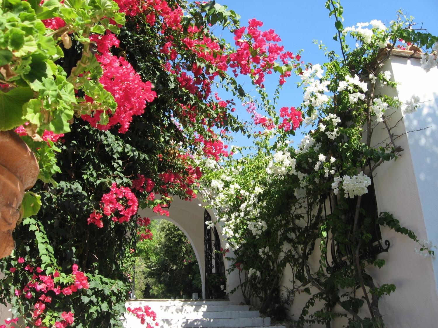 Hotel Punta Rossa San Felice Circeo Eksteriør billede