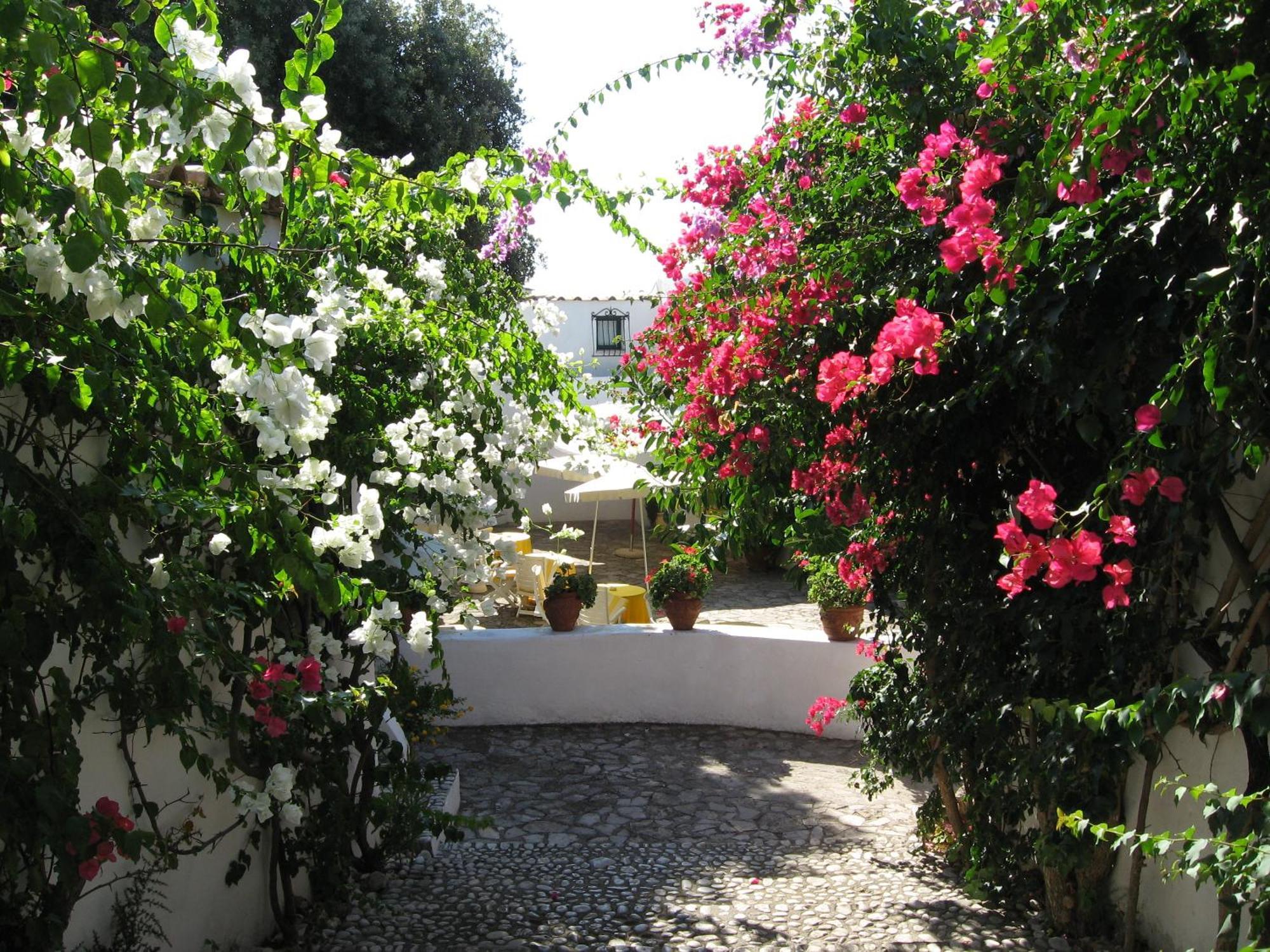 Hotel Punta Rossa San Felice Circeo Eksteriør billede
